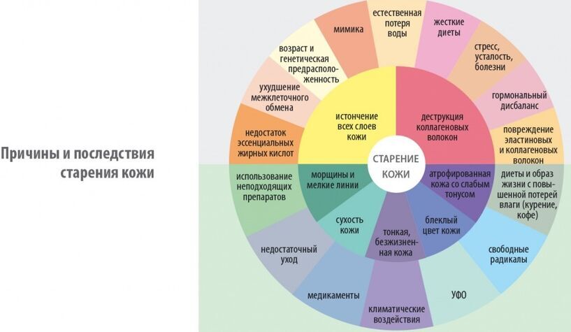 Мастер Класс 