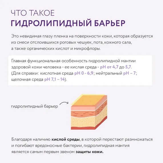 Гидролипидная мантия кожи, кожа и два ее барьера — фото 2